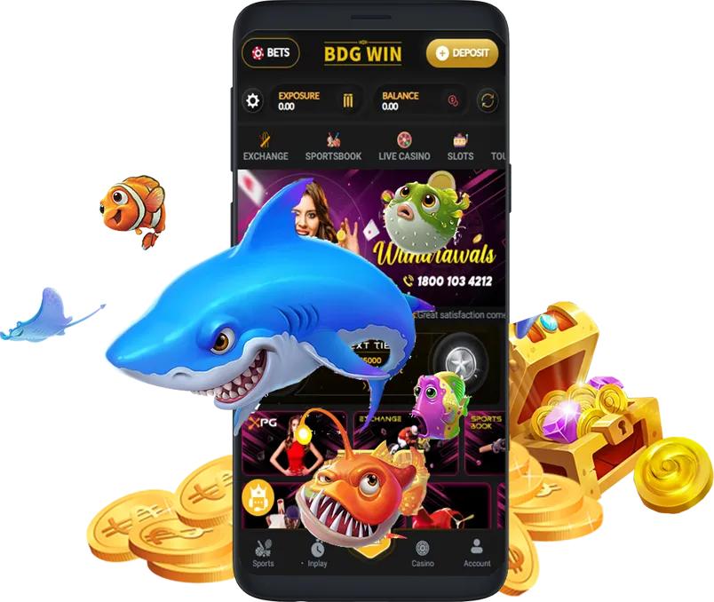 BDGWIN APP